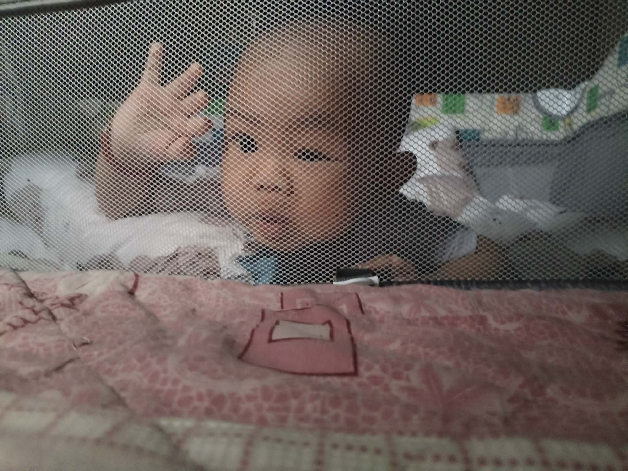 A photo of Jio